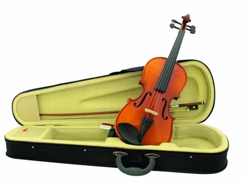 DIMAVERY - housle 4/4 HW, set 