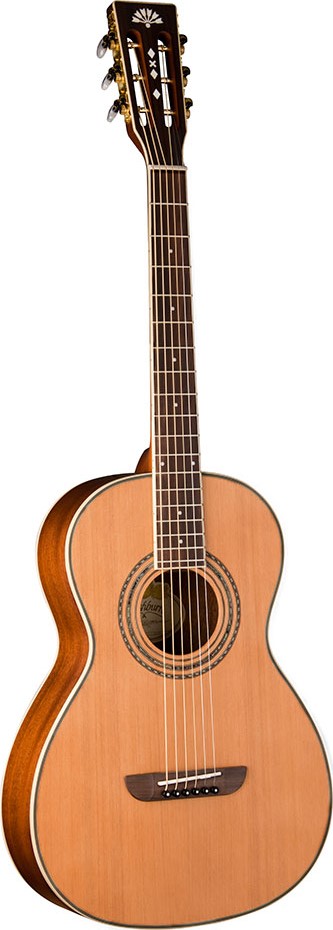 WASHBURN WP11SNS, akustická kytara