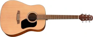WALDEN Hawthorne D255 Dreadnought - akustická kytara