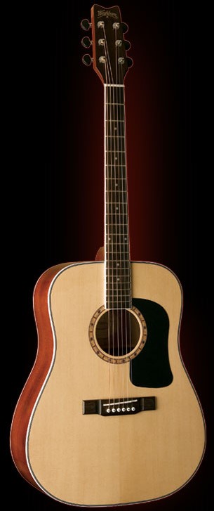 WASHBURN D9