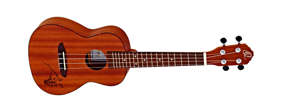ORTEGA RU5MM - koncertní ukulele