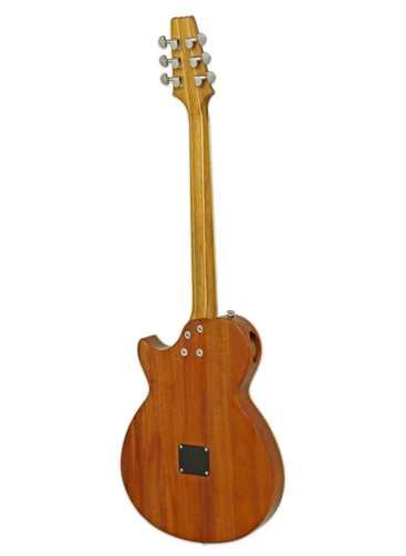 ARIA APE-100TS elektroakustická kytara