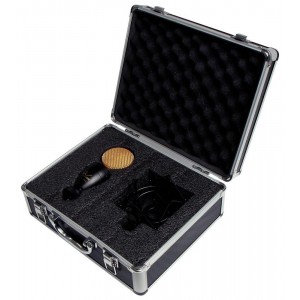 ALPHA AUDIO - MIC Studio L