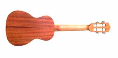 LEHO LHUS-SSM-Concert