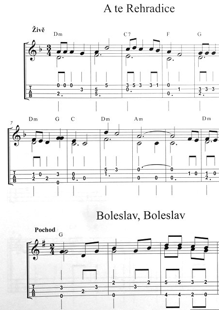 Ondřej Šárek - Špalíček písní pro ukulele 1