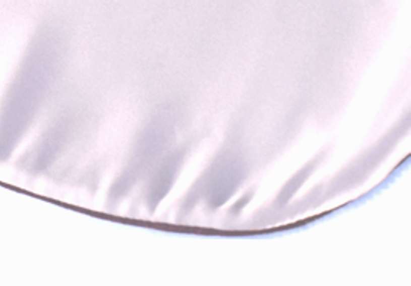 HESA - BD/WH dečka do houslového pouzdra