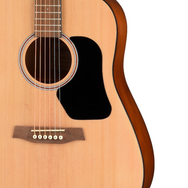 WALDEN Hawthorne D255 Dreadnought - akustická kytara