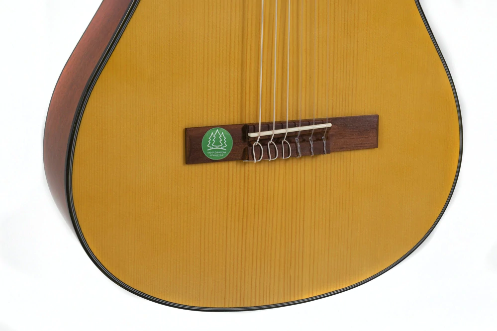 GEWA VGS Student Natur, 3/4 klasická kytara