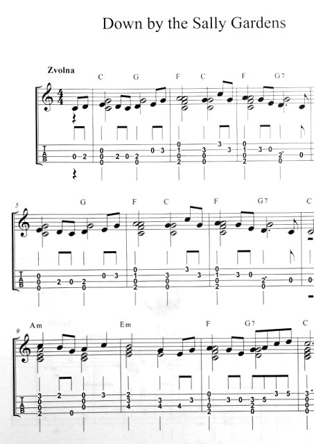 Ondřej Šárek - Špalíček písní pro ukulele 1