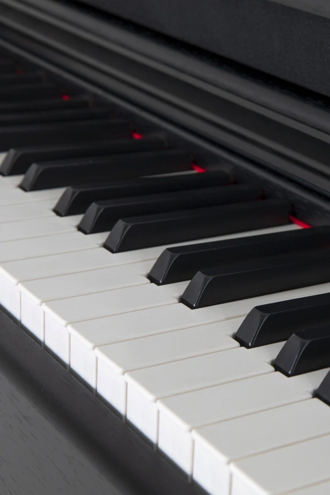 GEWA DP345 digitální piano 