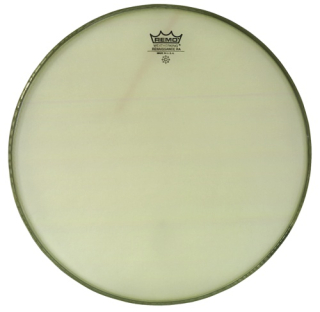 REMO - Ambassador Coated 14" 