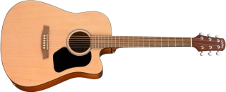 WALDEN Hawthorne D255CE Dreadnought - el. akustická kytara